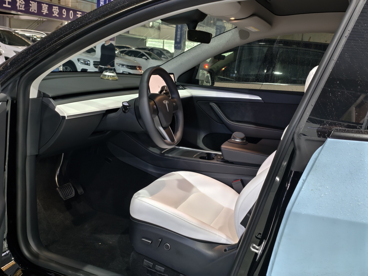 特斯拉 Model Y  2020款 改款 長續(xù)航后輪驅動版圖片