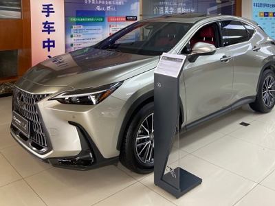 2023年8月 雷克薩斯 NX 260 前驅 創(chuàng)悅版圖片