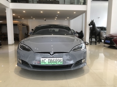 2018年8月 特斯拉 Model S  Model S 100D图片