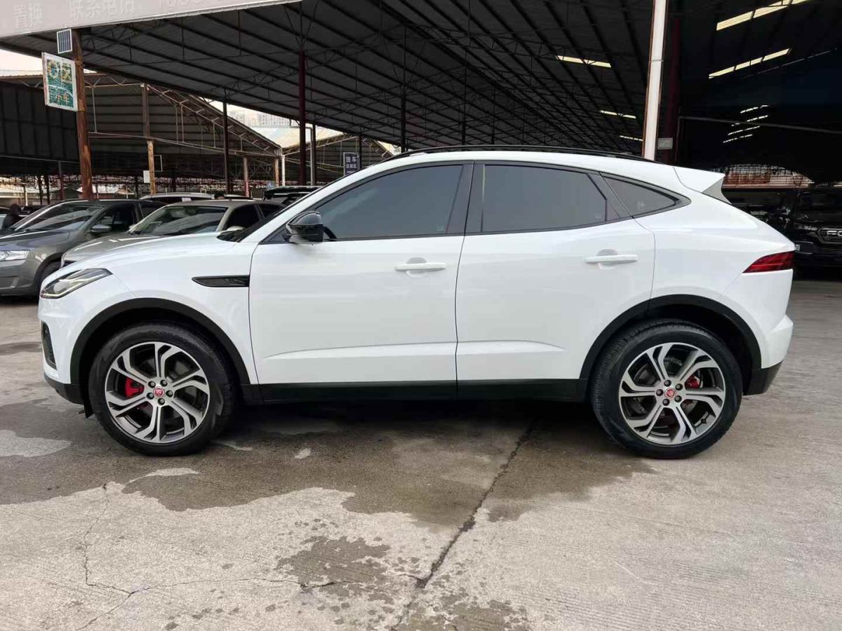 捷豹 F-PACE  2024款 P250 R-Dynamic HSE圖片