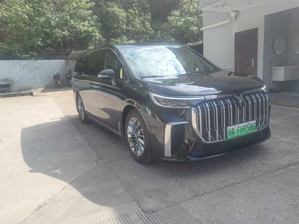 嵐圖 夢想家  2024款 PHEV 超長續(xù)航尊貴版圖片