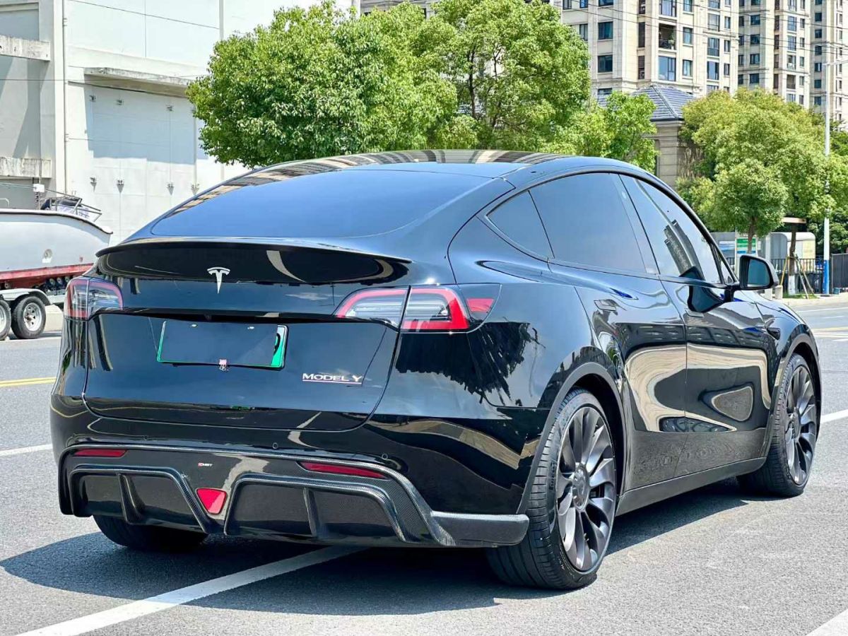 特斯拉 Model Y  2022款 Performance高性能全輪驅(qū)動版圖片