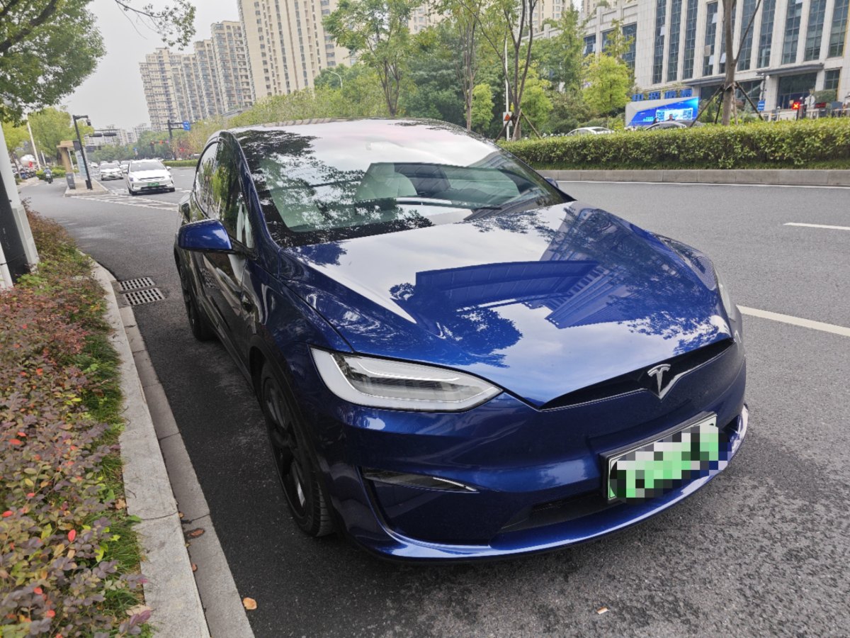 特斯拉 Model X  2023款 雙電機(jī)全輪驅(qū)動(dòng)版圖片