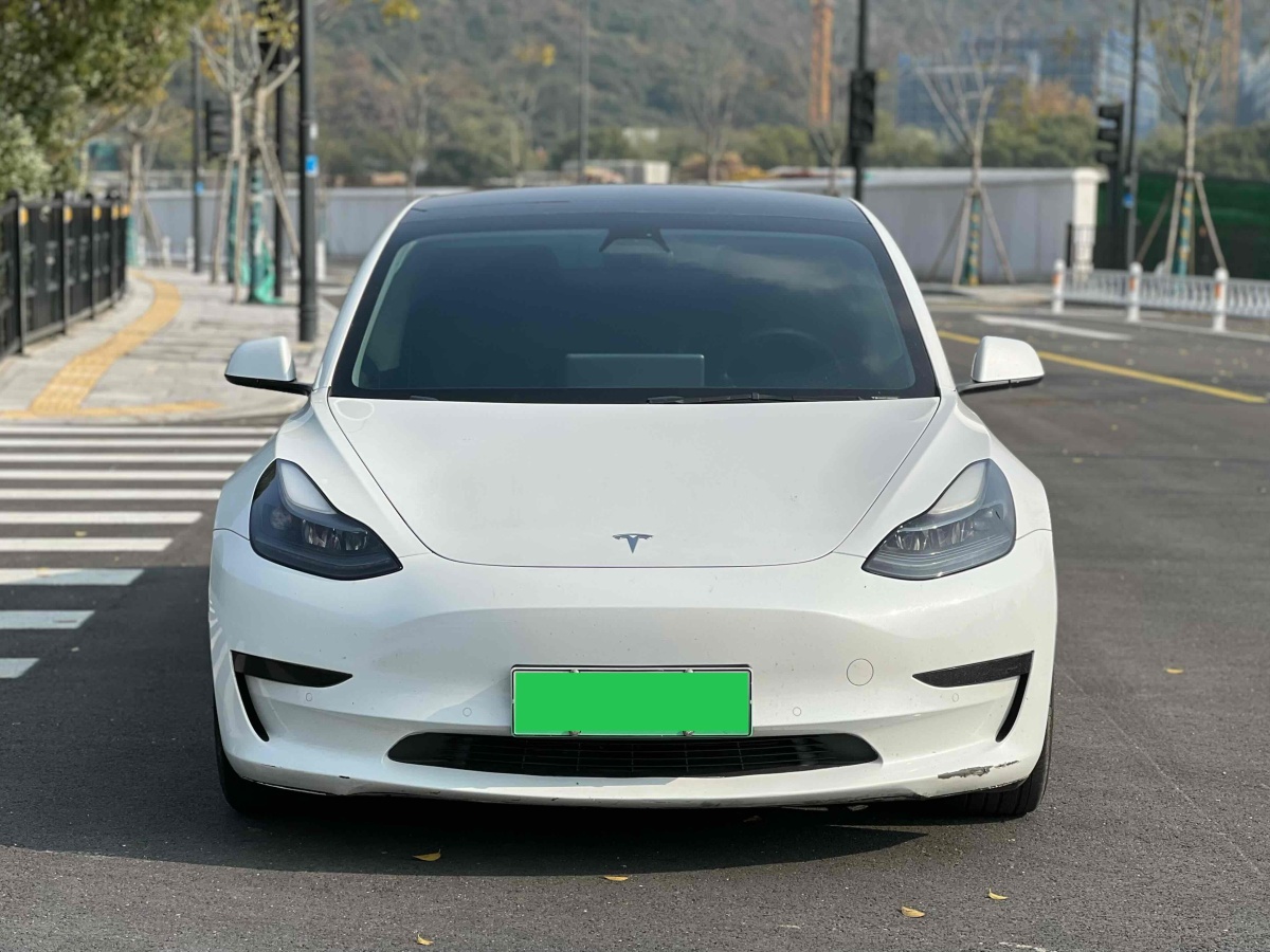 特斯拉 Model 3  2019款 標(biāo)準(zhǔn)續(xù)航后驅(qū)升級(jí)版圖片