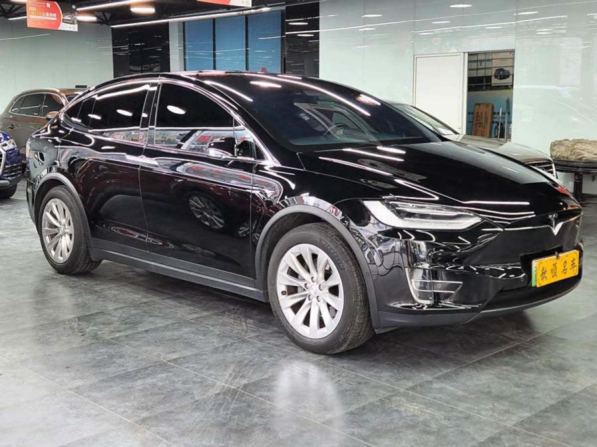 特斯拉 Model X  2019款 長續(xù)航版圖片