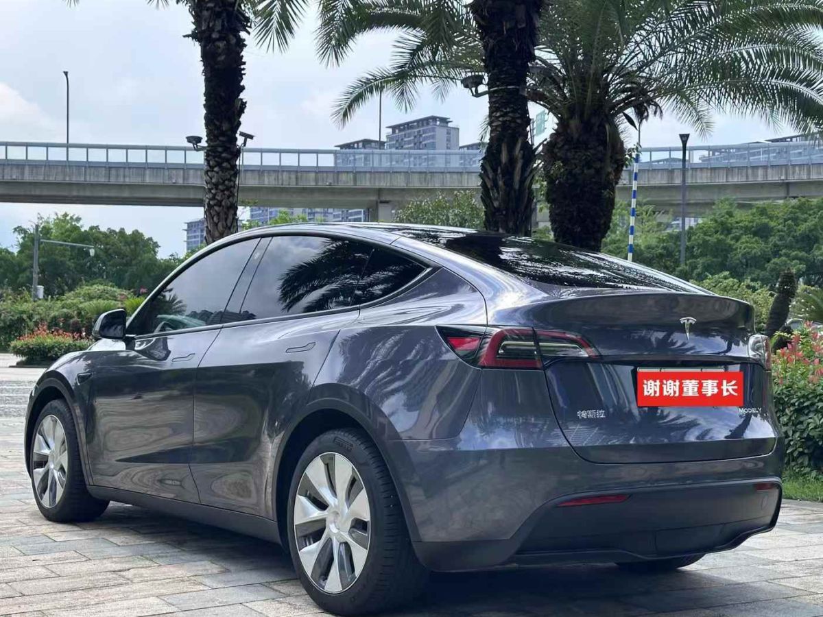 特斯拉 Model Y  2022款 Performance高性能全輪驅(qū)動(dòng)版圖片