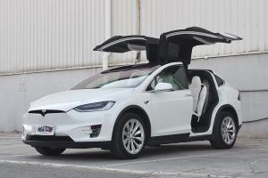 Model X 特斯拉 Model X 75D