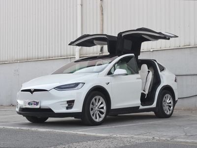 2018年3月 特斯拉 Model X Model X 75D圖片