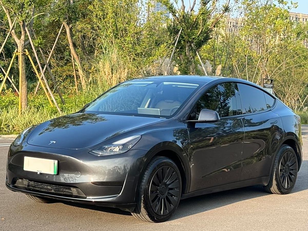 特斯拉 Model 3  2020款 改款 長(zhǎng)續(xù)航后輪驅(qū)動(dòng)版圖片