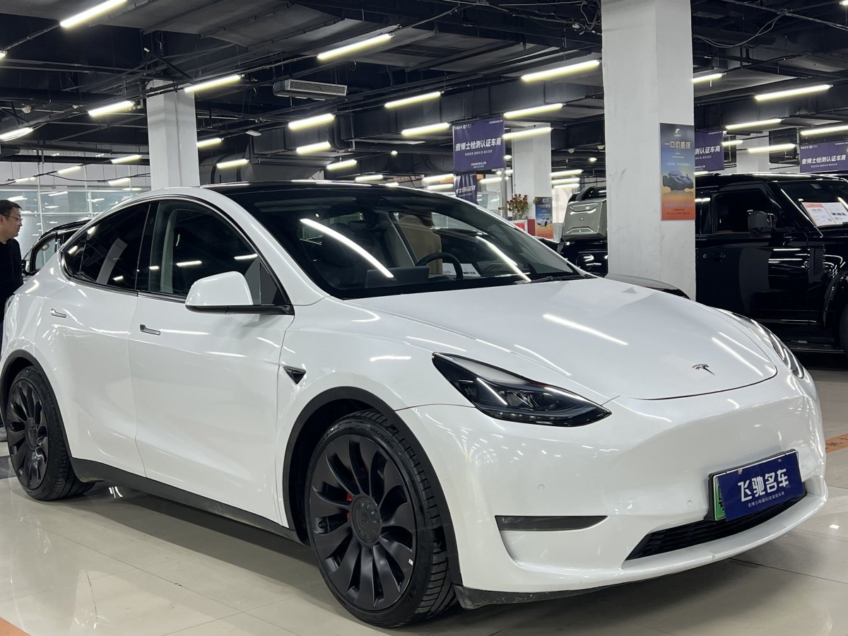 特斯拉 Model 3  2021款 改款 Performance高性能全輪驅(qū)動(dòng)版圖片