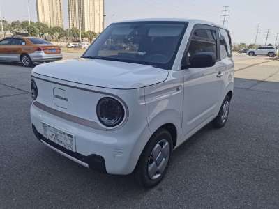 2023年4月 吉利 熊貓mini 200km 耐力熊圖片