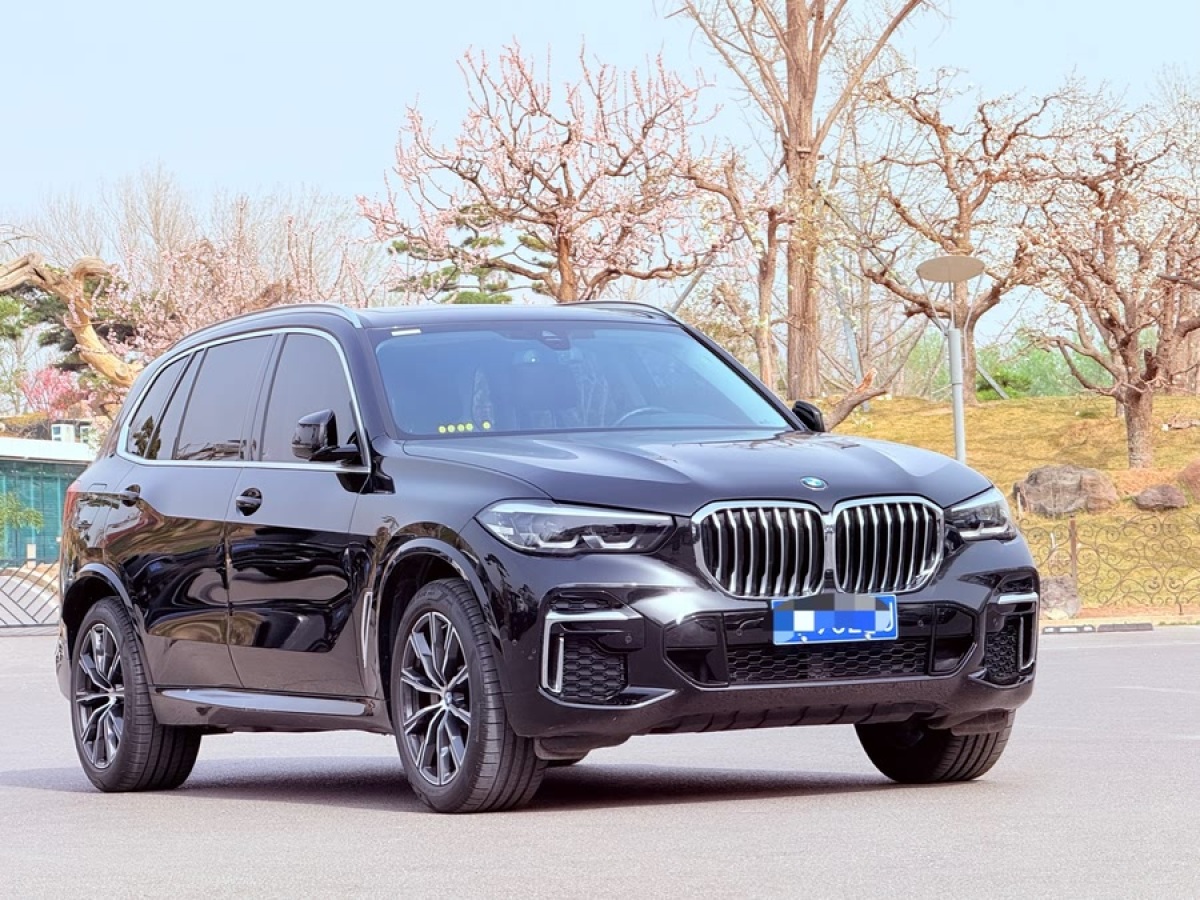 寶馬 寶馬X5  2023款 xDrive 30Li M運(yùn)動(dòng)套裝圖片