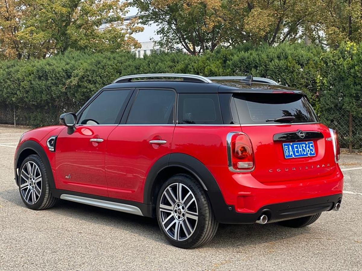 MINI COUNTRYMAN  2019款 2.0T COOPER S ALL4 藝術(shù)家圖片