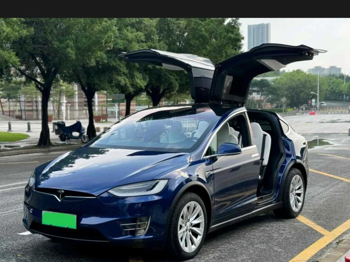 特斯拉 Model X  2020款 Performance 高性能版圖片