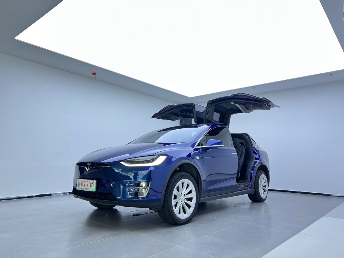 特斯拉 Model X 2017款 75D圖片