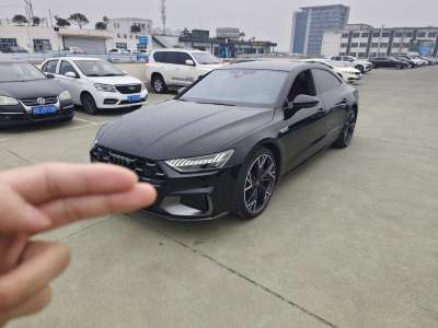 2024年9月 奧迪 奧迪A7L 45 TFSI quattro S-line 黑武士版圖片