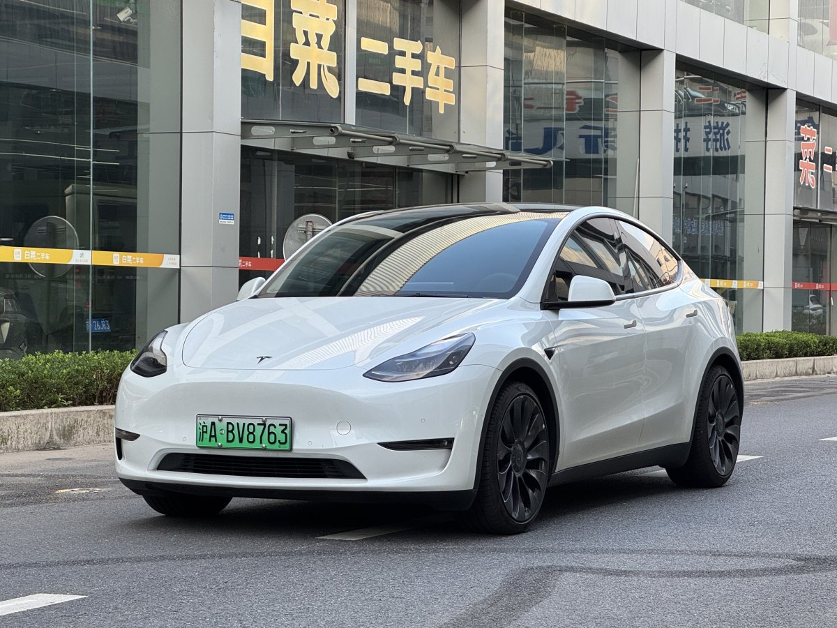 特斯拉 Model Y  2022款 Performance高性能全輪驅動版圖片