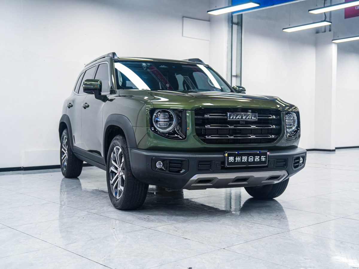 哈弗 哈弗大狗  2021款 1.5T DCT邊牧版圖片