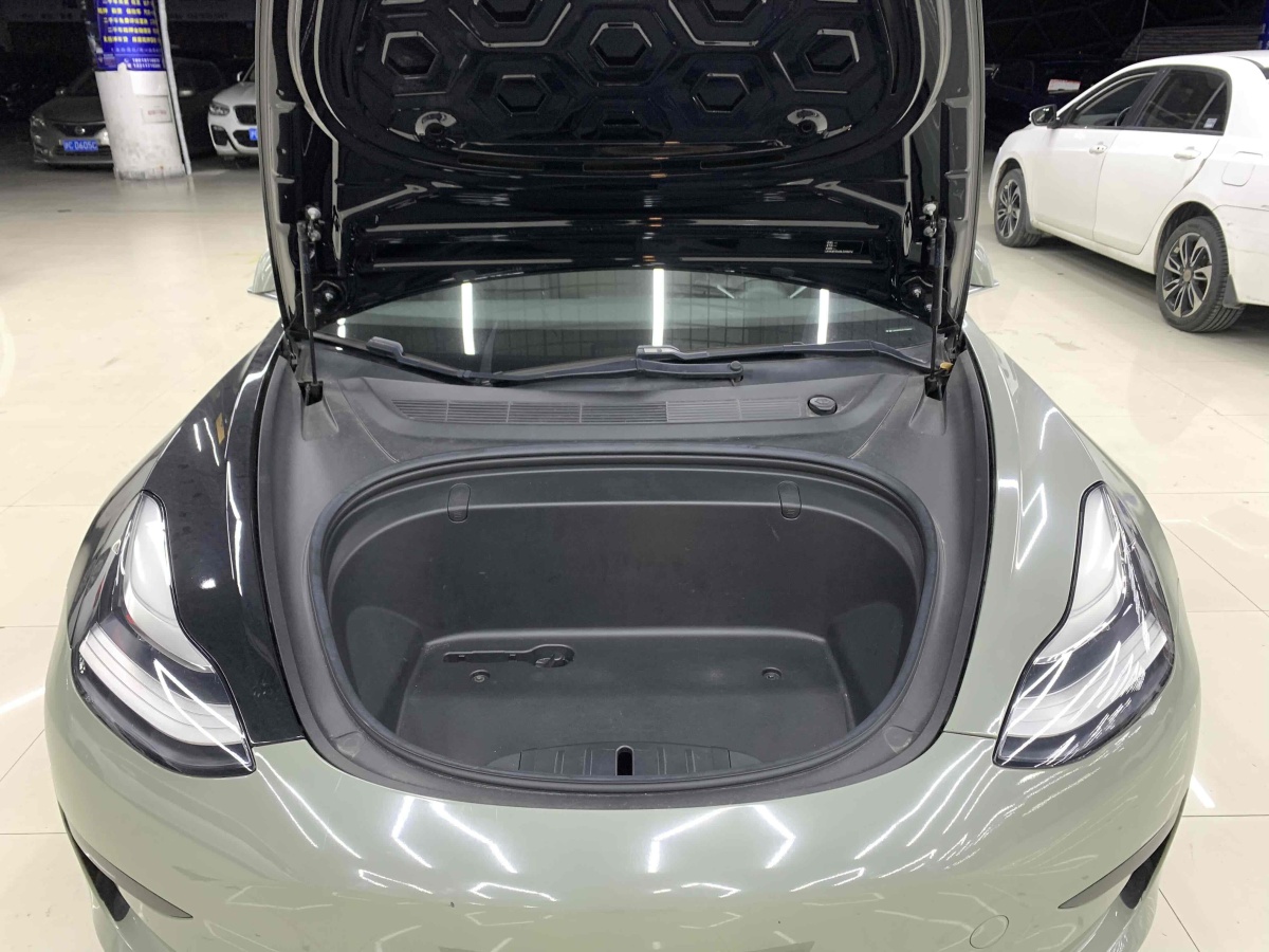 特斯拉 Model 3  2019款 標(biāo)準(zhǔn)續(xù)航后驅(qū)升級版圖片