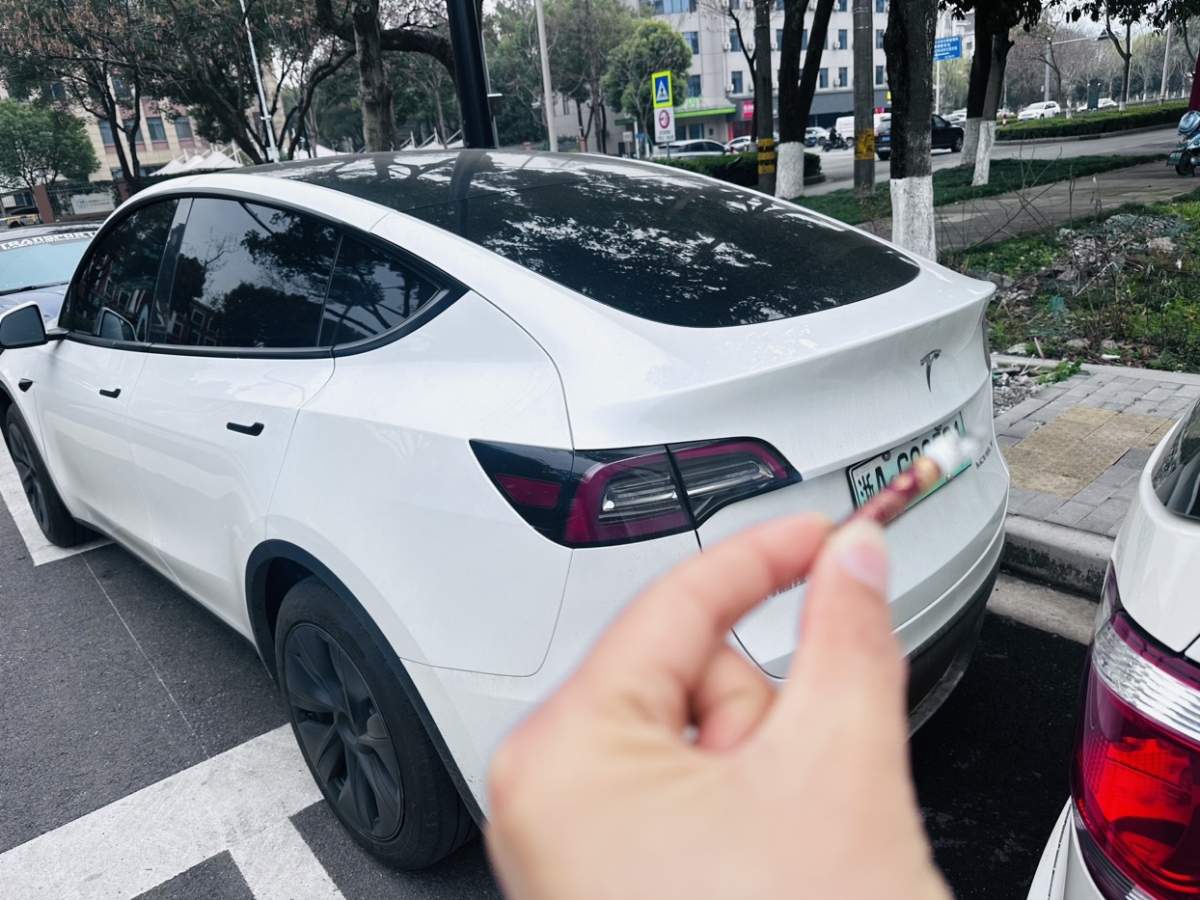 特斯拉 Model Y  2024款 后輪驅(qū)動(dòng)版圖片