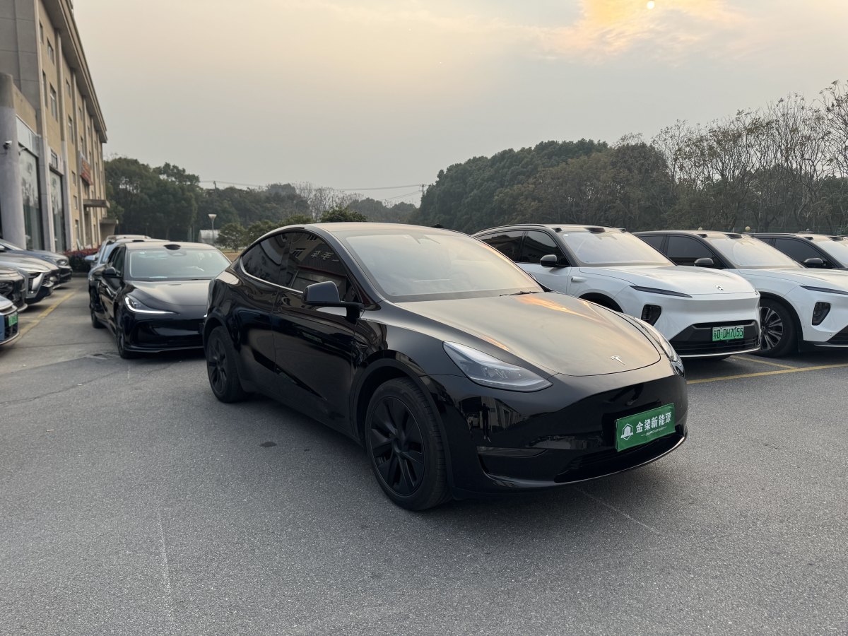 特斯拉 Model 3  2023款 長續(xù)航煥新版 雙電機全輪驅(qū)動圖片