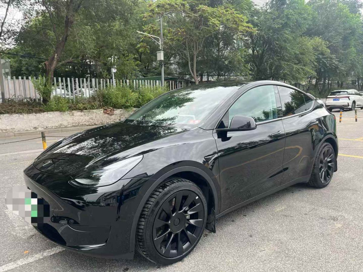 特斯拉 Model S  2023款 三電機(jī)全輪驅(qū)動(dòng) Plaid版圖片