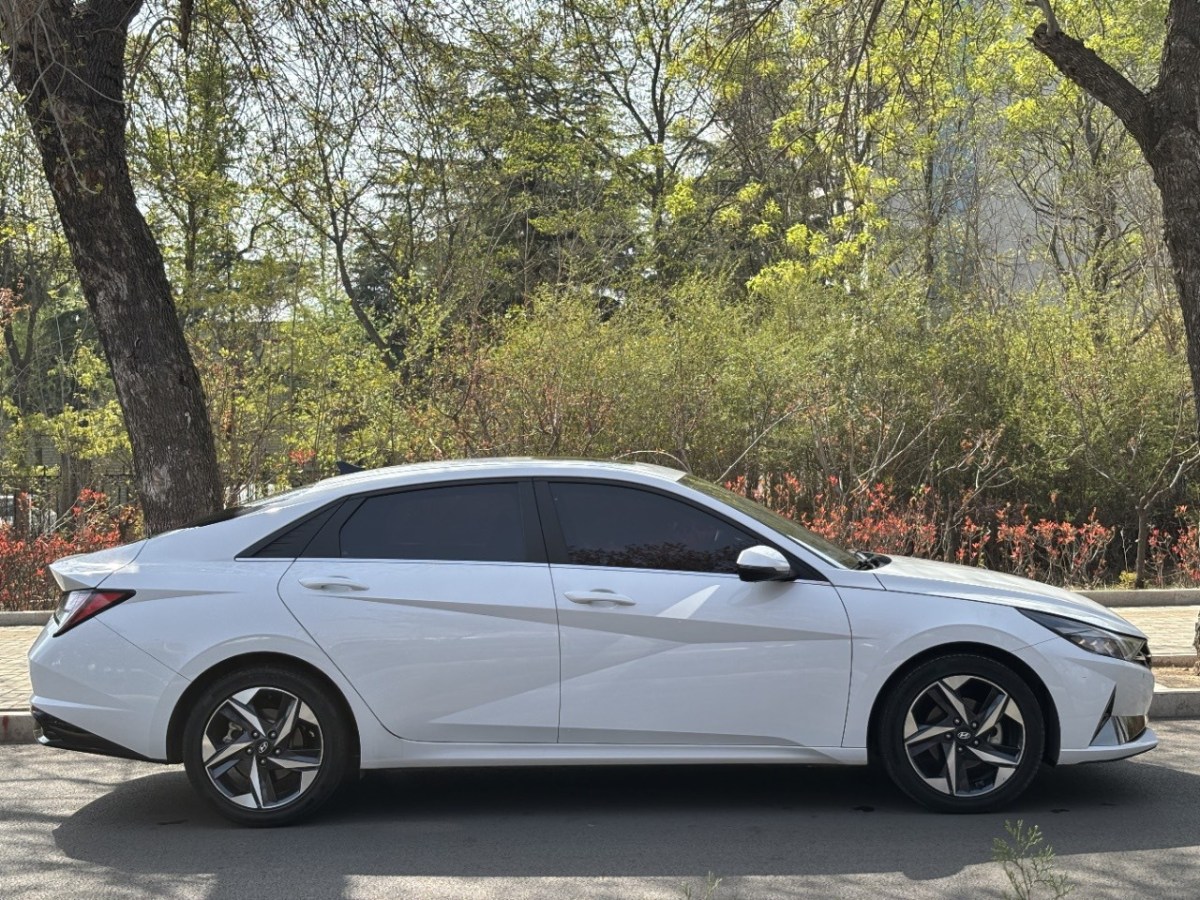 現(xiàn)代 伊蘭特  2023款 240TGDi DCT N Line LUX尊貴版圖片