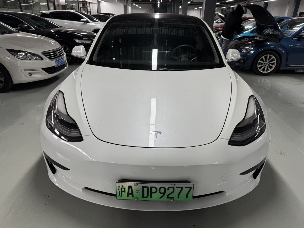 特斯拉 Model 3  2020款 改款 標準續(xù)航后驅(qū)升級版圖片