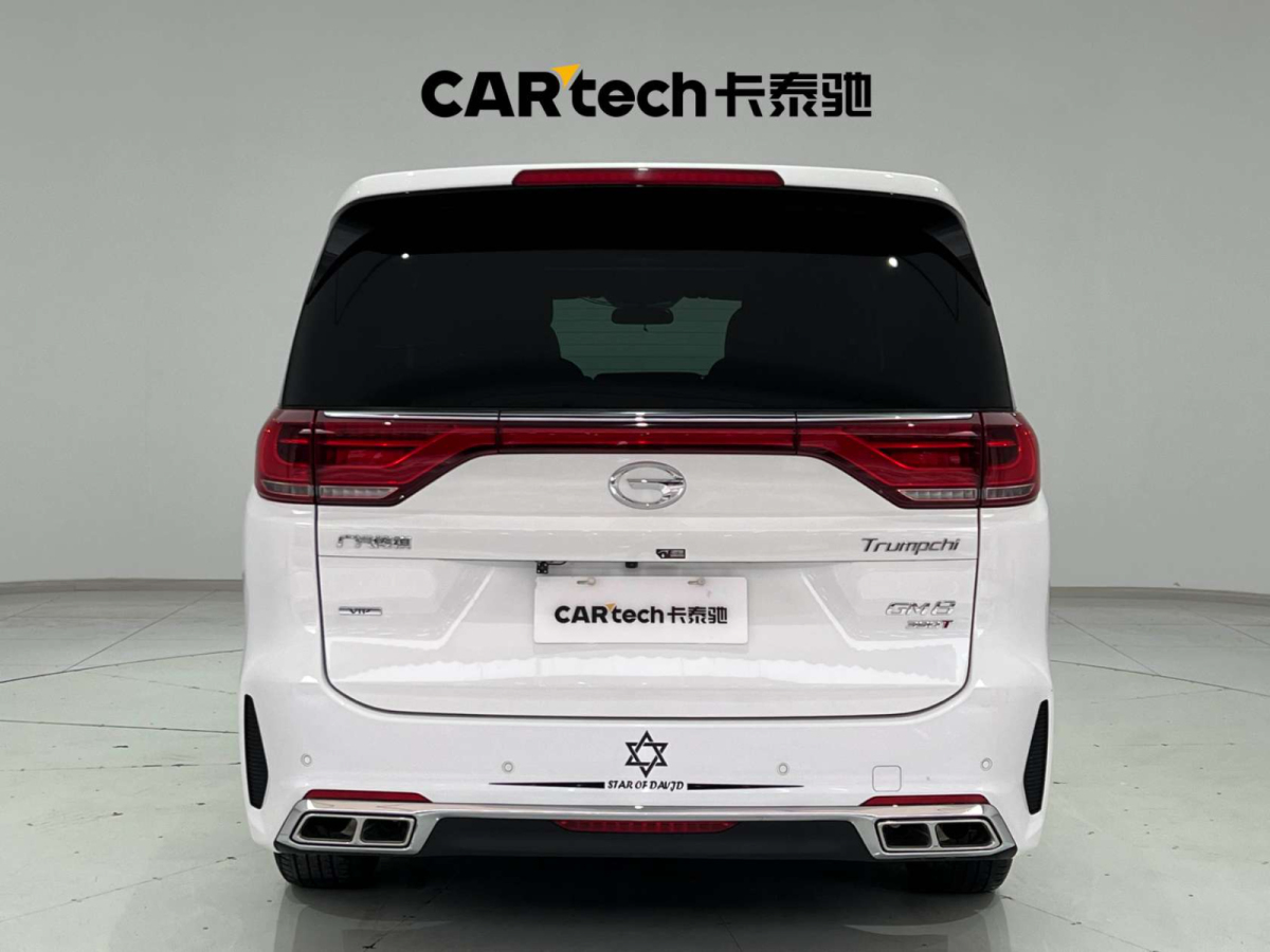 廣汽傳祺 M8  2020款 領(lǐng)航款 390T 尊享版圖片