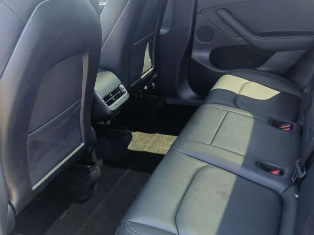 特斯拉 Model Y  2021款 標(biāo)準(zhǔn)續(xù)航后驅(qū)版圖片