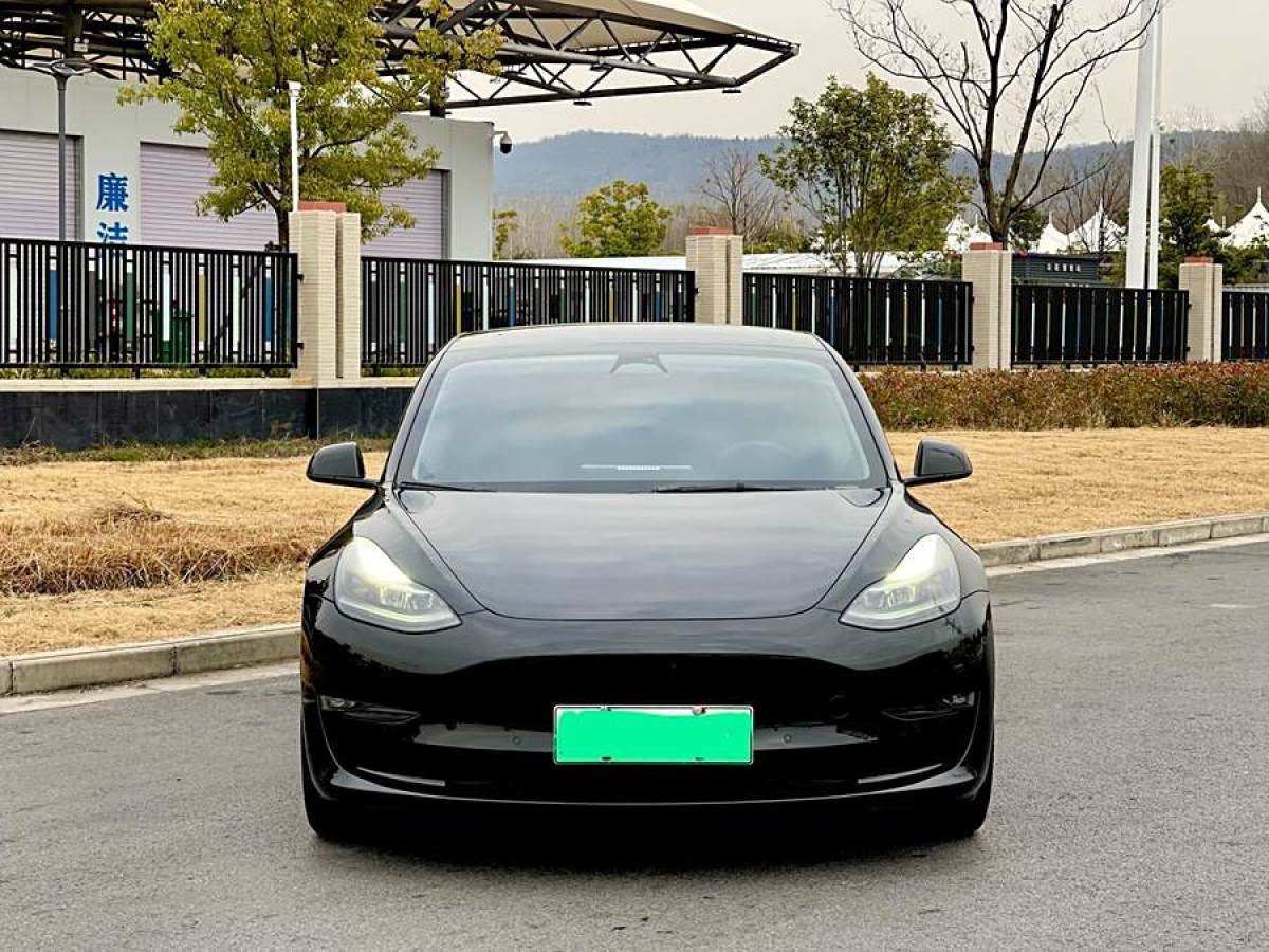 特斯拉 Model Y  2022款 Performance高性能全輪驅(qū)動版圖片