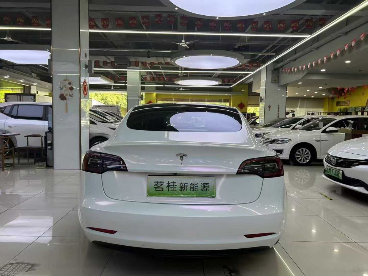 特斯拉 Model Y  2022款 Performance高性能全輪驅(qū)動(dòng)版圖片