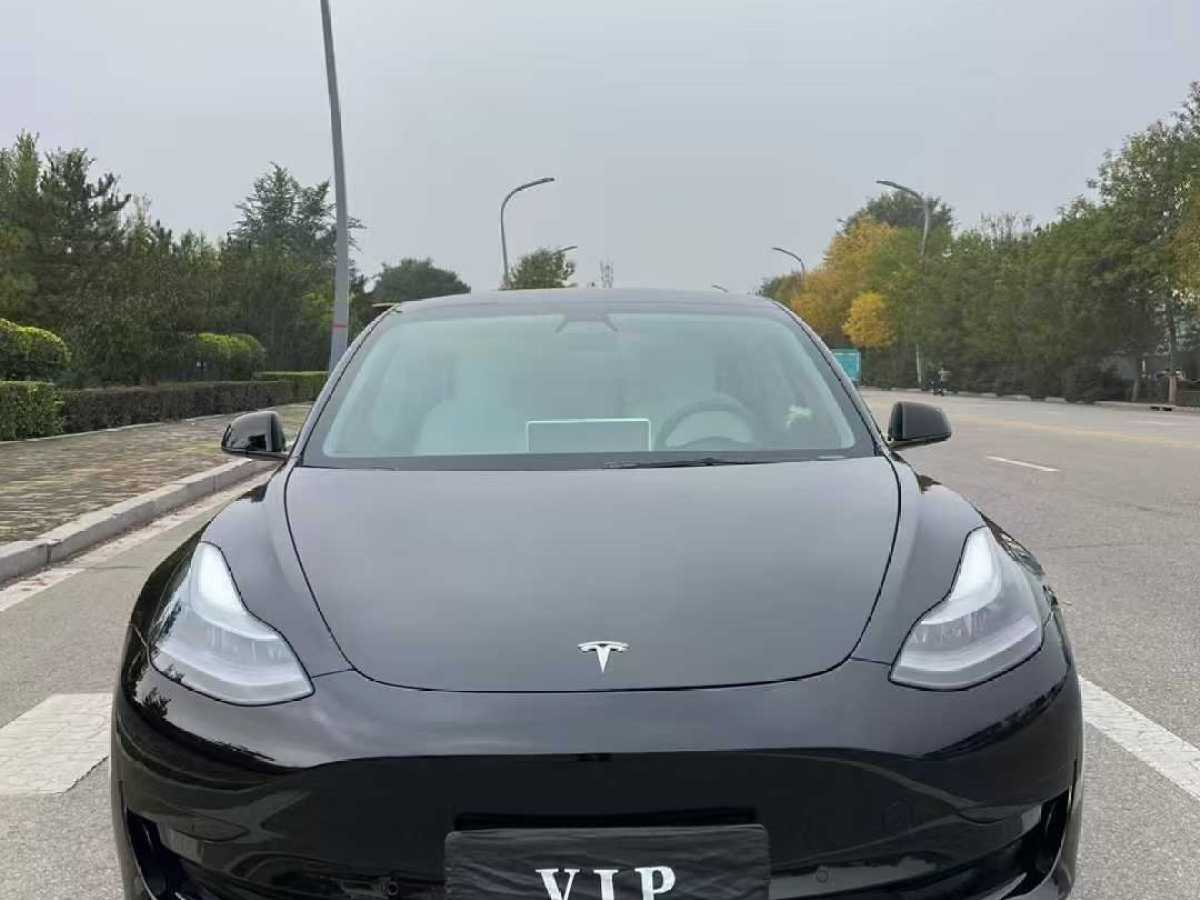 特斯拉 Model 3  2019款 標(biāo)準(zhǔn)續(xù)航后驅(qū)升級(jí)版圖片