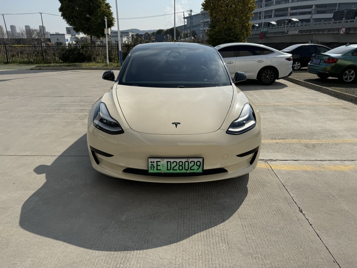 2020年3月特斯拉 Model 3  2019款 標(biāo)準(zhǔn)續(xù)航后驅(qū)升級(jí)版