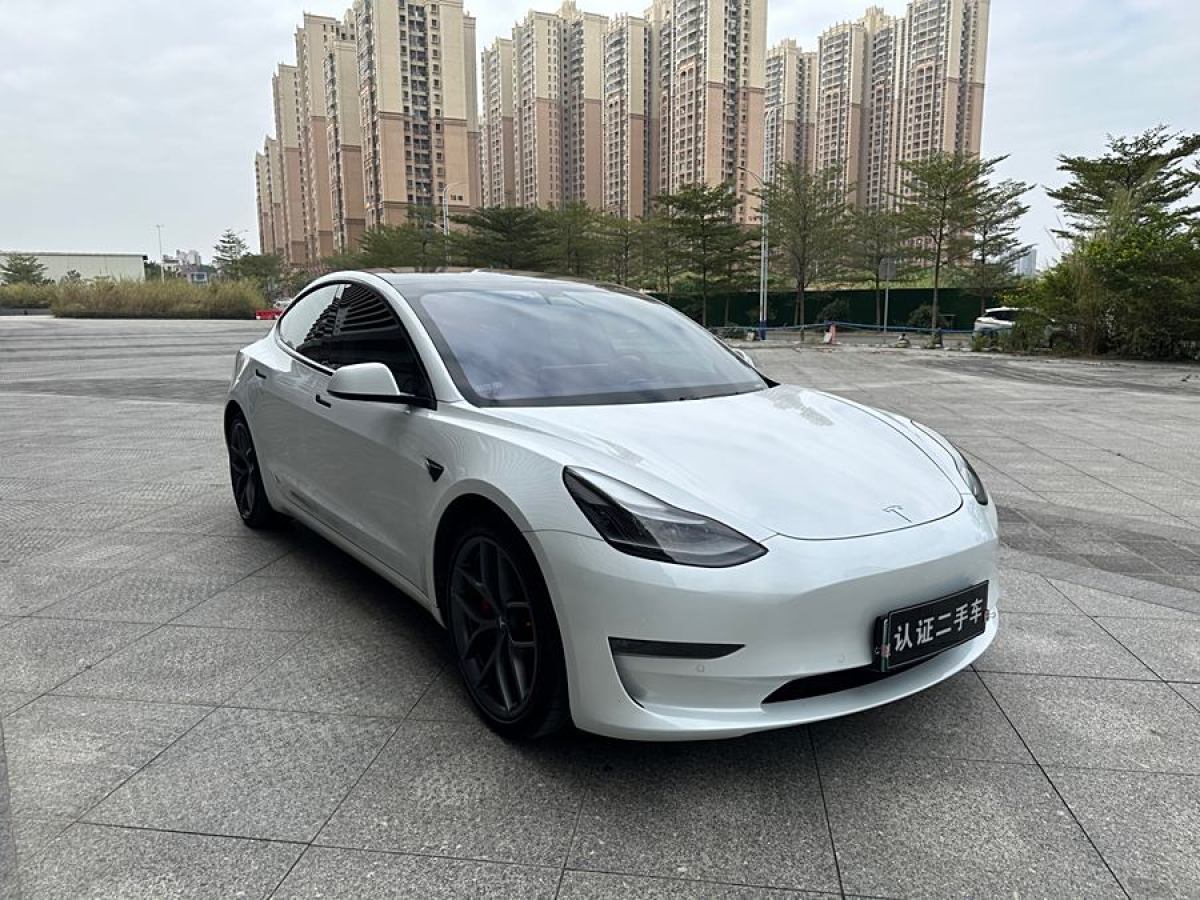 特斯拉 Model Y  2021款 Performance高性能全輪驅(qū)動版圖片