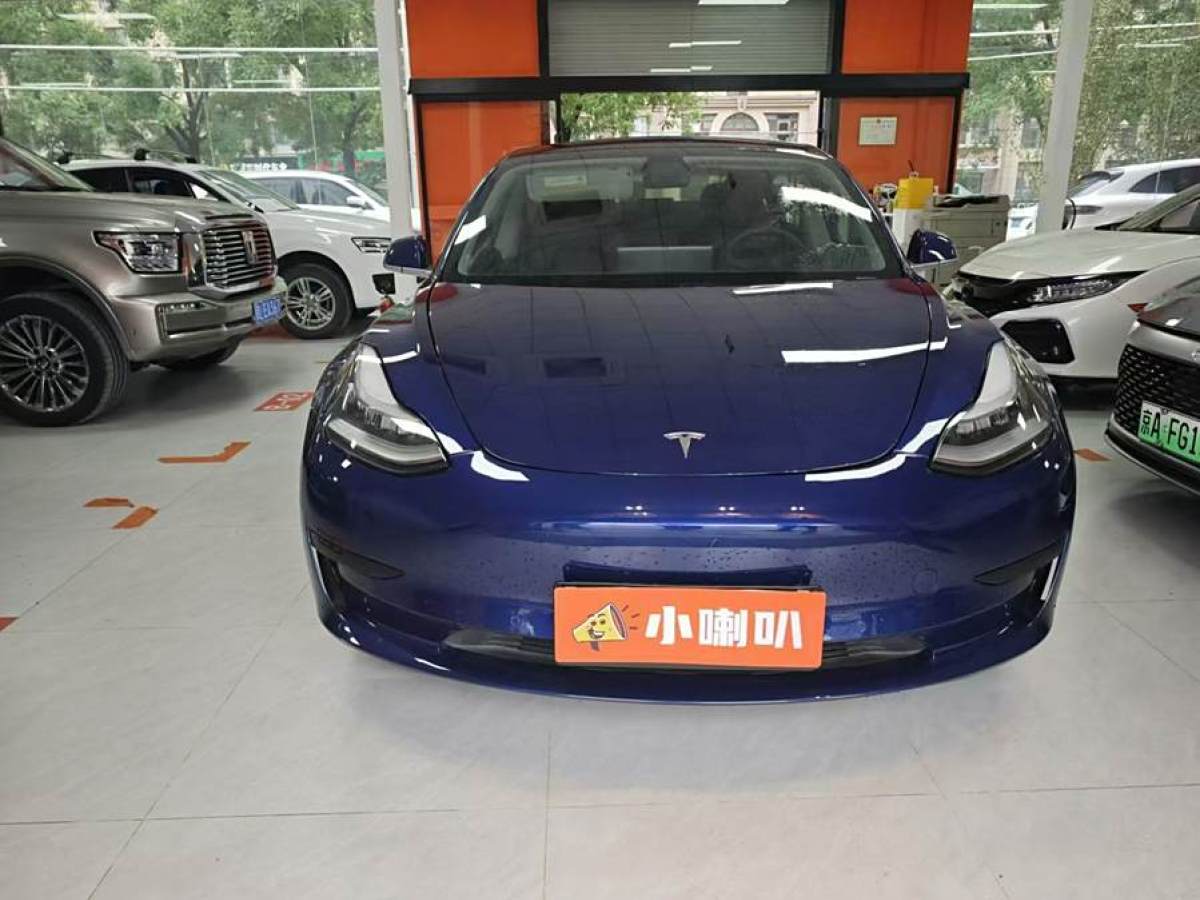 特斯拉 Model 3  2019款 標(biāo)準(zhǔn)續(xù)航后驅(qū)升級(jí)版圖片