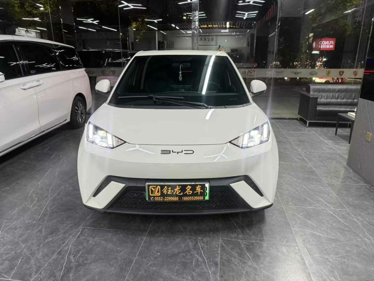 比亞迪 宋L DM-i  2024款 112km 超越型圖片