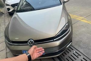 高爾夫 大眾 1.6L 自動(dòng)時(shí)尚型