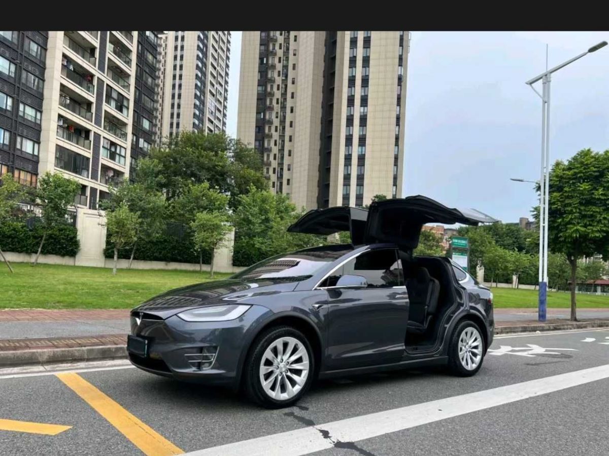 特斯拉 Model X  2020款 Performance 高性能版圖片