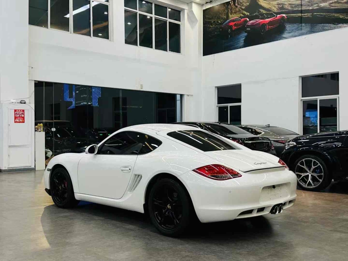 保時捷 Cayman  2009款 Cayman 2.9L圖片