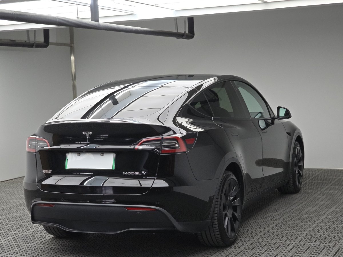 特斯拉 Model Y  2020款 改款 長續(xù)航后輪驅(qū)動(dòng)版圖片