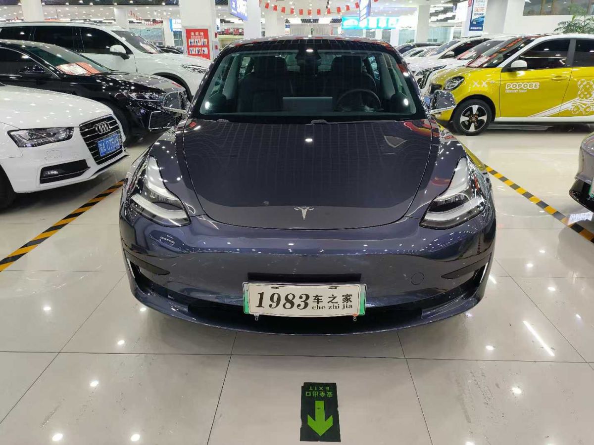 特斯拉 Model X  2020款 Performance 高性能版圖片