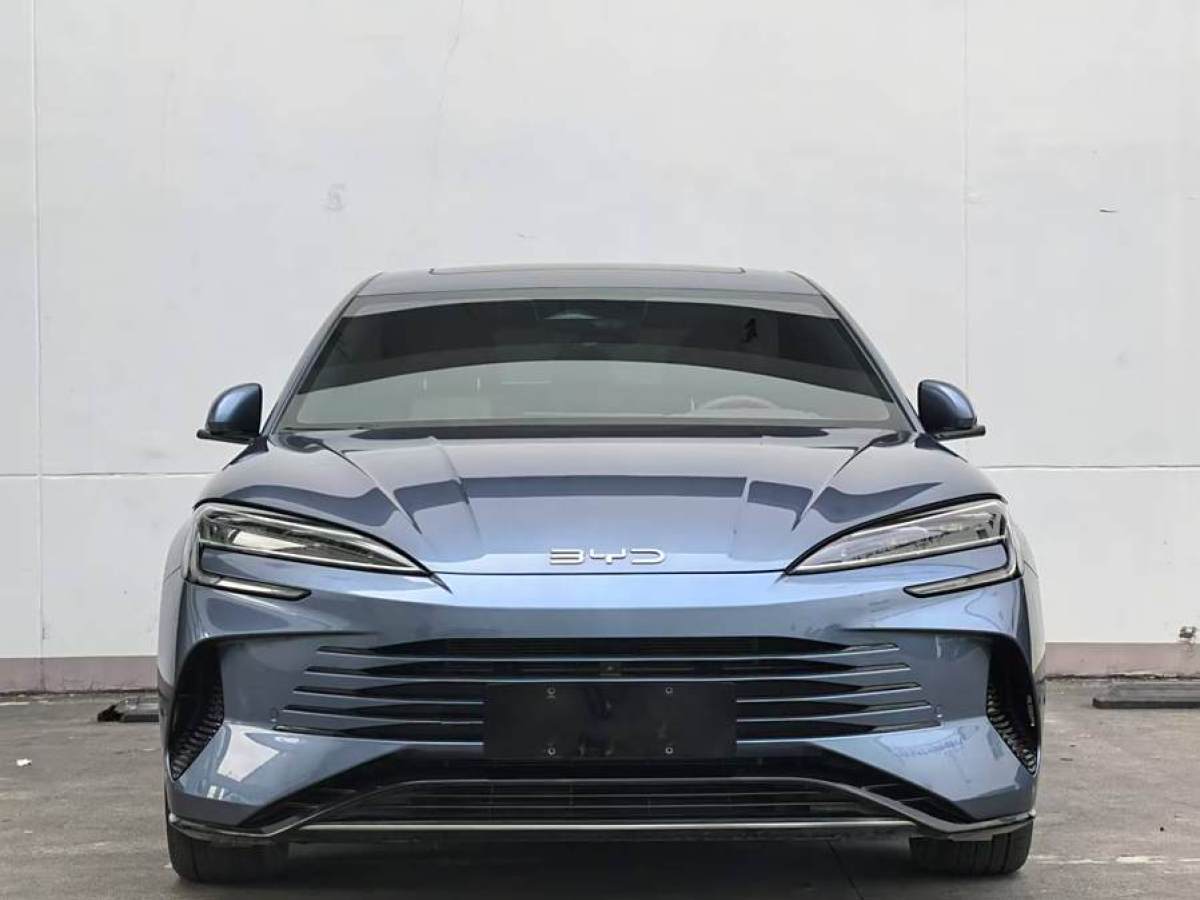 比亞迪 海豹  2023款 DM-i 1.5L 121km 尊貴型圖片