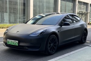 Model Y 特斯拉 标准续航后驱升级版 3D6