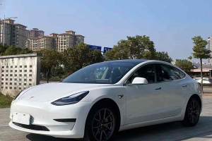 Model 3 特斯拉 標(biāo)準(zhǔn)續(xù)航后驅(qū)升級版