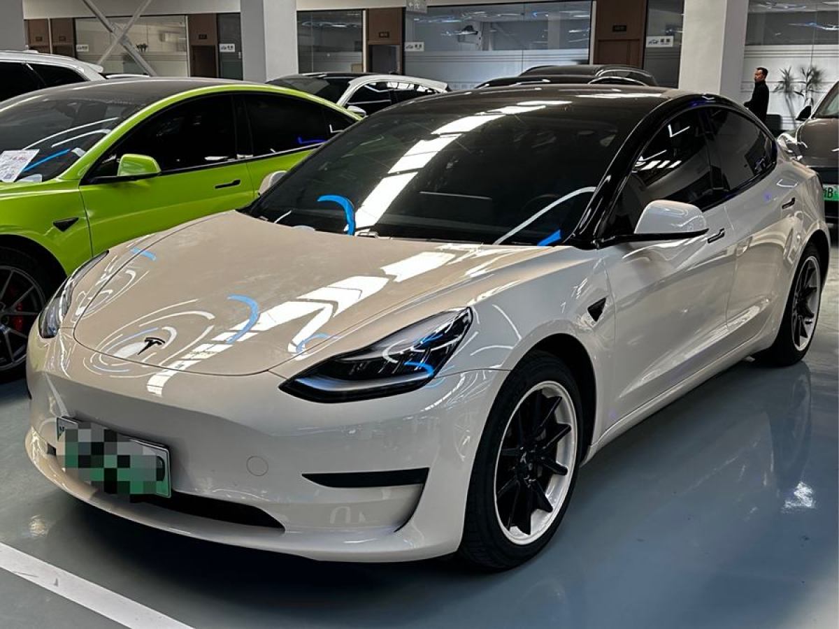 2020年11月特斯拉 Model 3  2020款 改款 標(biāo)準(zhǔn)續(xù)航后驅(qū)升級(jí)版