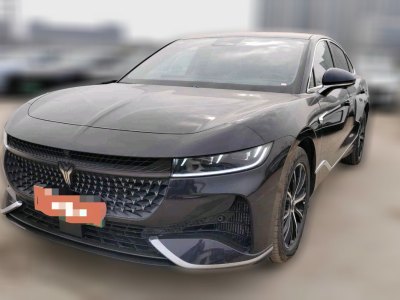 2024年2月 嵐圖 嵐圖追光 PHEV 四驅(qū)超長(zhǎng)續(xù)航行政版圖片