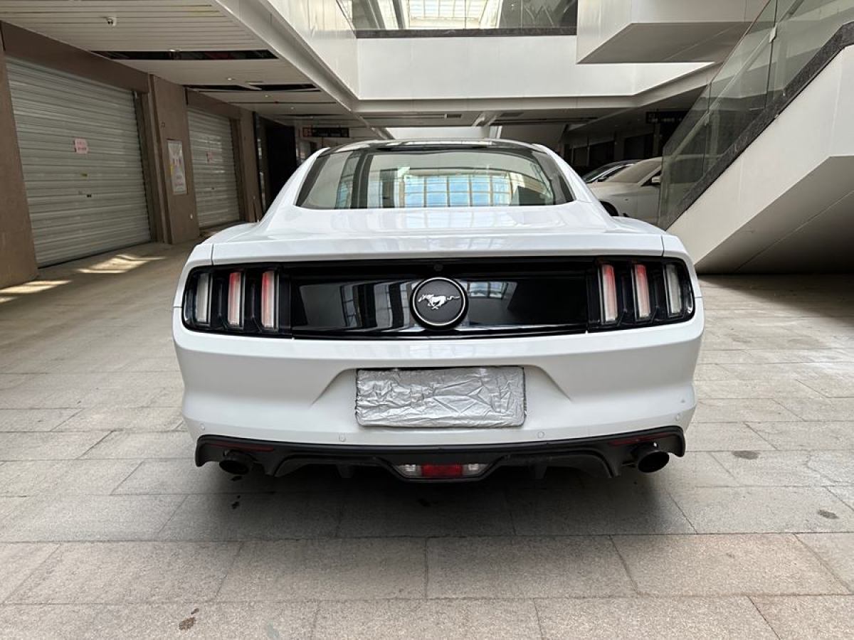 福特 Mustang  2015款 2.3T 性能版圖片