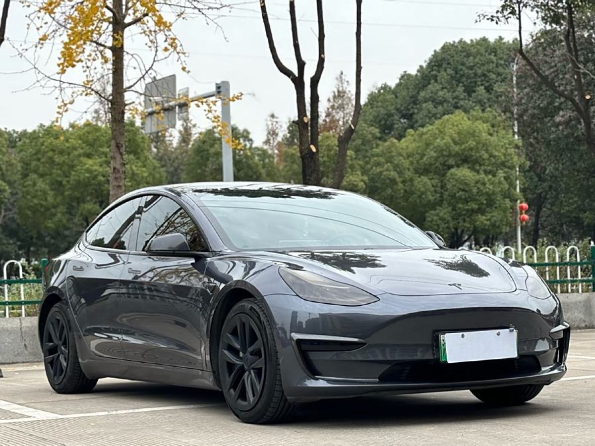 特斯拉 Model 3  2021款 改款 標準續(xù)航后驅(qū)升級版圖片