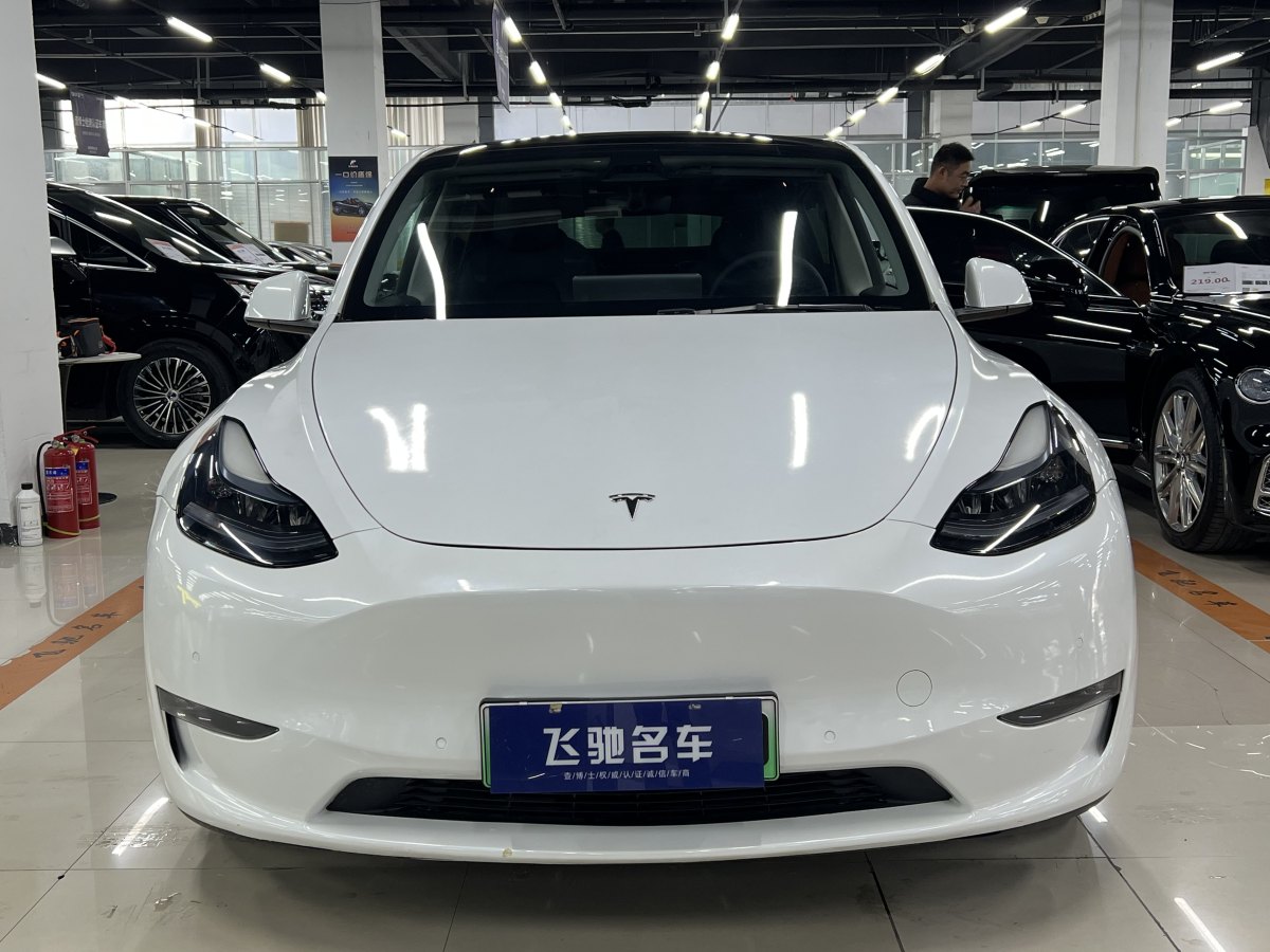 特斯拉 Model 3  2021款 改款 Performance高性能全輪驅(qū)動(dòng)版圖片